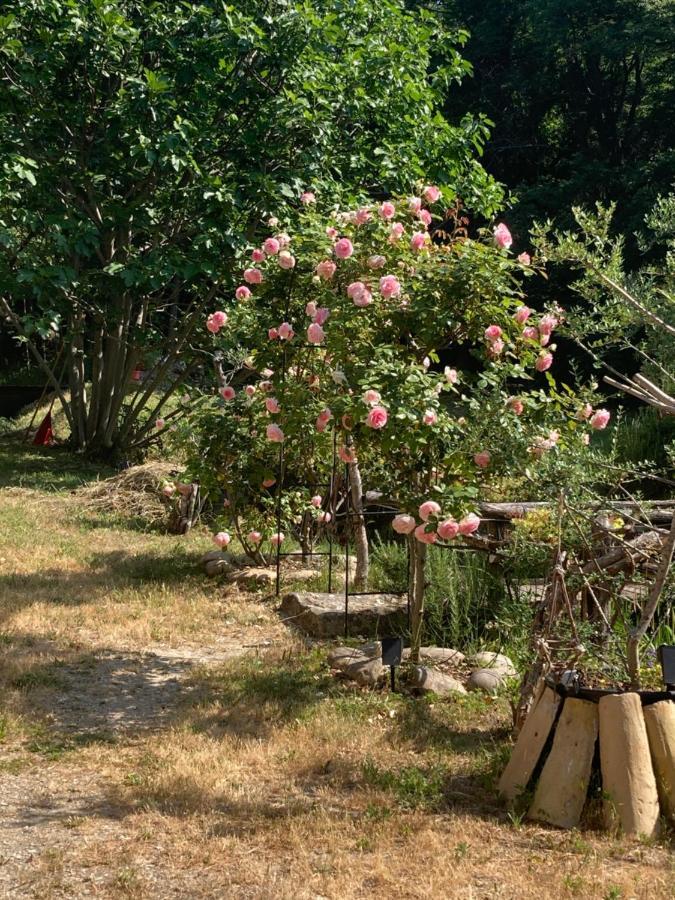 Le Mas Aux Aromes Puget Bagian luar foto