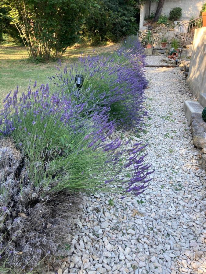 Le Mas Aux Aromes Puget Bagian luar foto