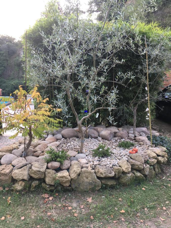 Le Mas Aux Aromes Puget Bagian luar foto