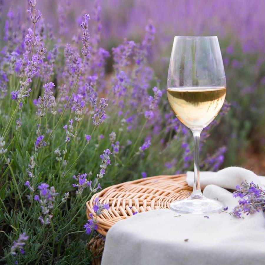 Le Mas Aux Aromes Puget Bagian luar foto